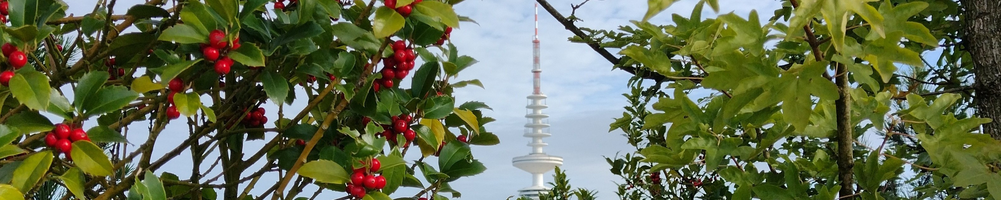 Hamburg - TV Tower